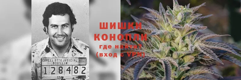 МАРИХУАНА SATIVA & INDICA  Кубинка 